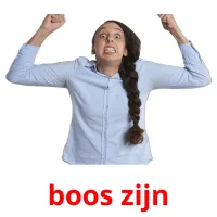 boos zijn Bildkarteikarten