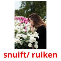 snuift/ ruiken picture flashcards