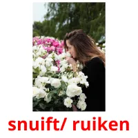 snuift/ ruiken Bildkarteikarten