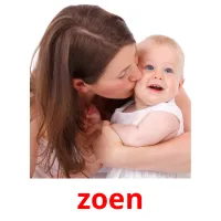 zoen Bildkarteikarten