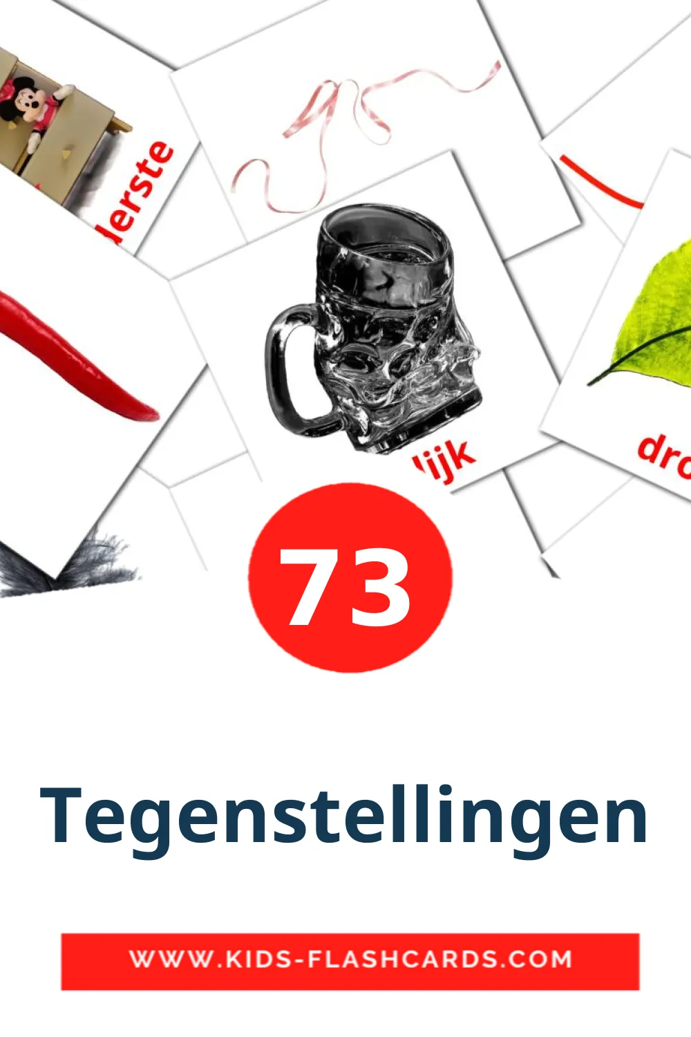 73 Tegenstellingen fotokaarten voor kleuters in het nederlands