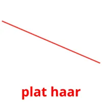 plat haar ansichtkaarten