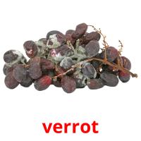 verrot picture flashcards