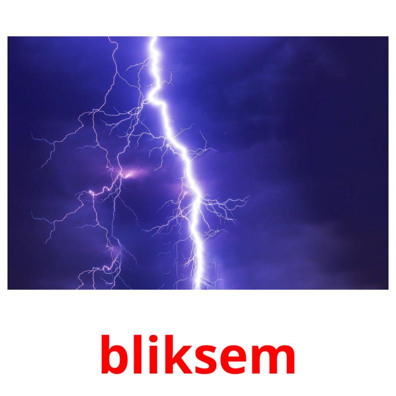 bliksem picture flashcards