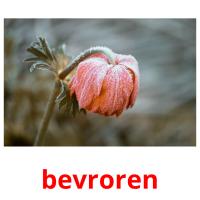 bevroren card for translate