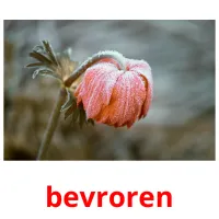 bevroren Bildkarteikarten