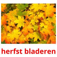 herfst bladeren card for translate