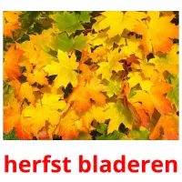 herfst bladeren Bildkarteikarten