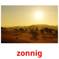 zonnig Bildkarteikarten