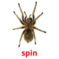 spin picture flashcards