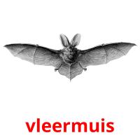 vleermuis card for translate