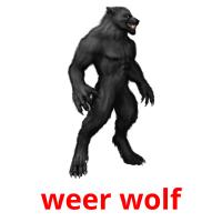 weer wolf picture flashcards