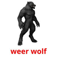 weer wolf cartes flash