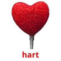 hart flashcards illustrate