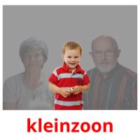 kleinzoon picture flashcards