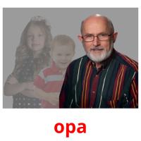 opa picture flashcards
