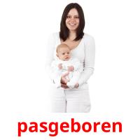 pasgeboren picture flashcards