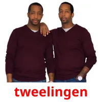 tweelingen ansichtkaarten