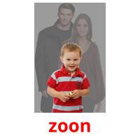 zoon picture flashcards