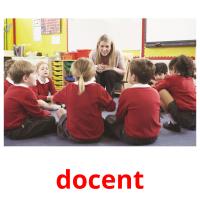 docent flashcards illustrate