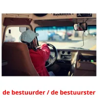 de bestuurder / de bestuurster flashcards illustrate