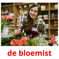 de bloemist flashcards illustrate