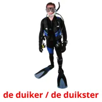 de duiker / de duikster flashcards illustrate