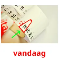 vandaag flashcards illustrate