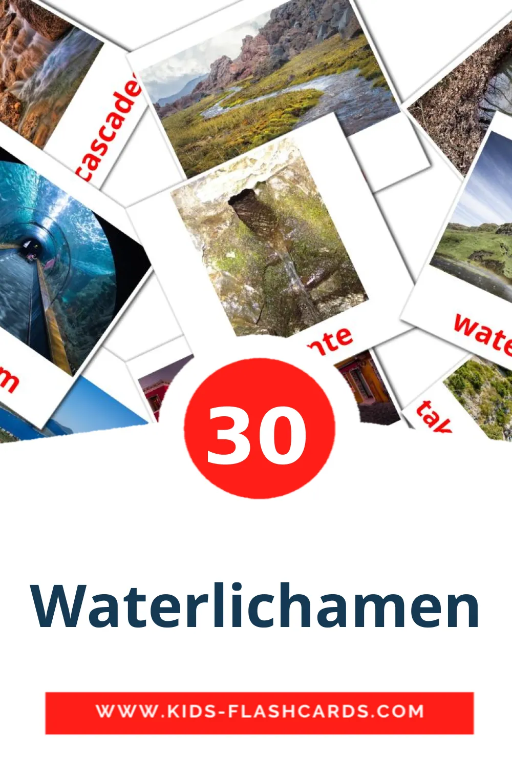 30 cartes illustrées de Waterlichamen pour la maternelle en japonés