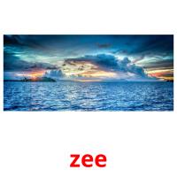 zee picture flashcards