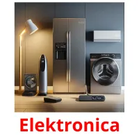 Elektronica Bildkarteikarten