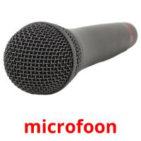 microfoon cartes flash