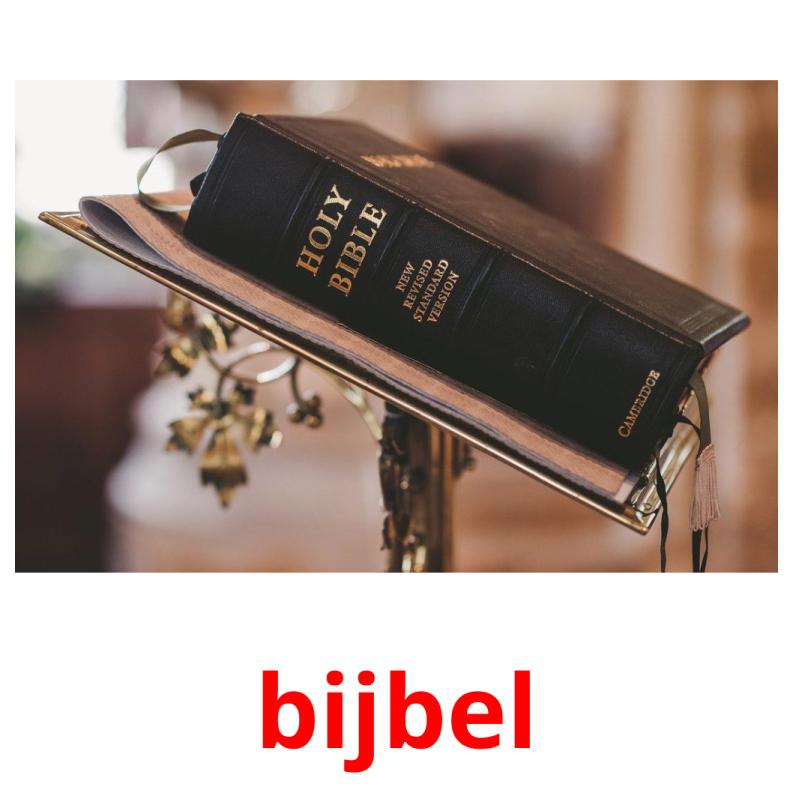 bijbel Tarjetas didacticas