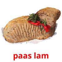 paas lam picture flashcards