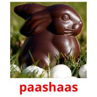 paashaas picture flashcards