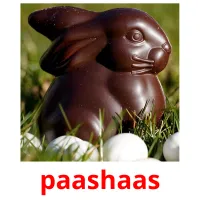 paashaas picture flashcards