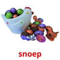 snoep picture flashcards