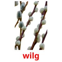 wilg picture flashcards