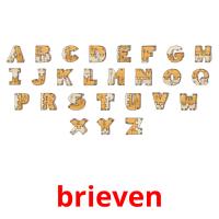 brieven picture flashcards
