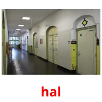 hal ansichtkaarten