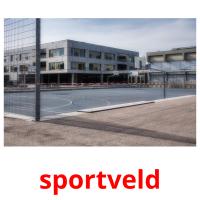 sportveld flashcards illustrate