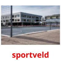 sportveld ansichtkaarten