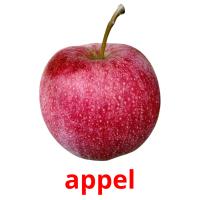 appel picture flashcards