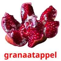 granaatappel Bildkarteikarten