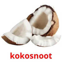 kokosnoot Bildkarteikarten