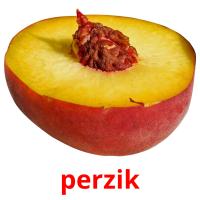 perzik card for translate