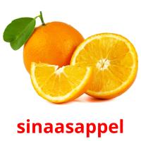 sinaasappel card for translate