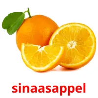 sinaasappel Bildkarteikarten