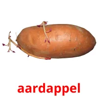 aardappel Bildkarteikarten