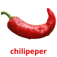 chilipeper Bildkarteikarten